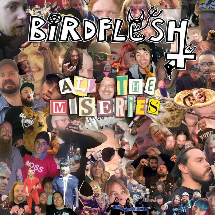 (image for) Birdflesh - All the Miseries LP